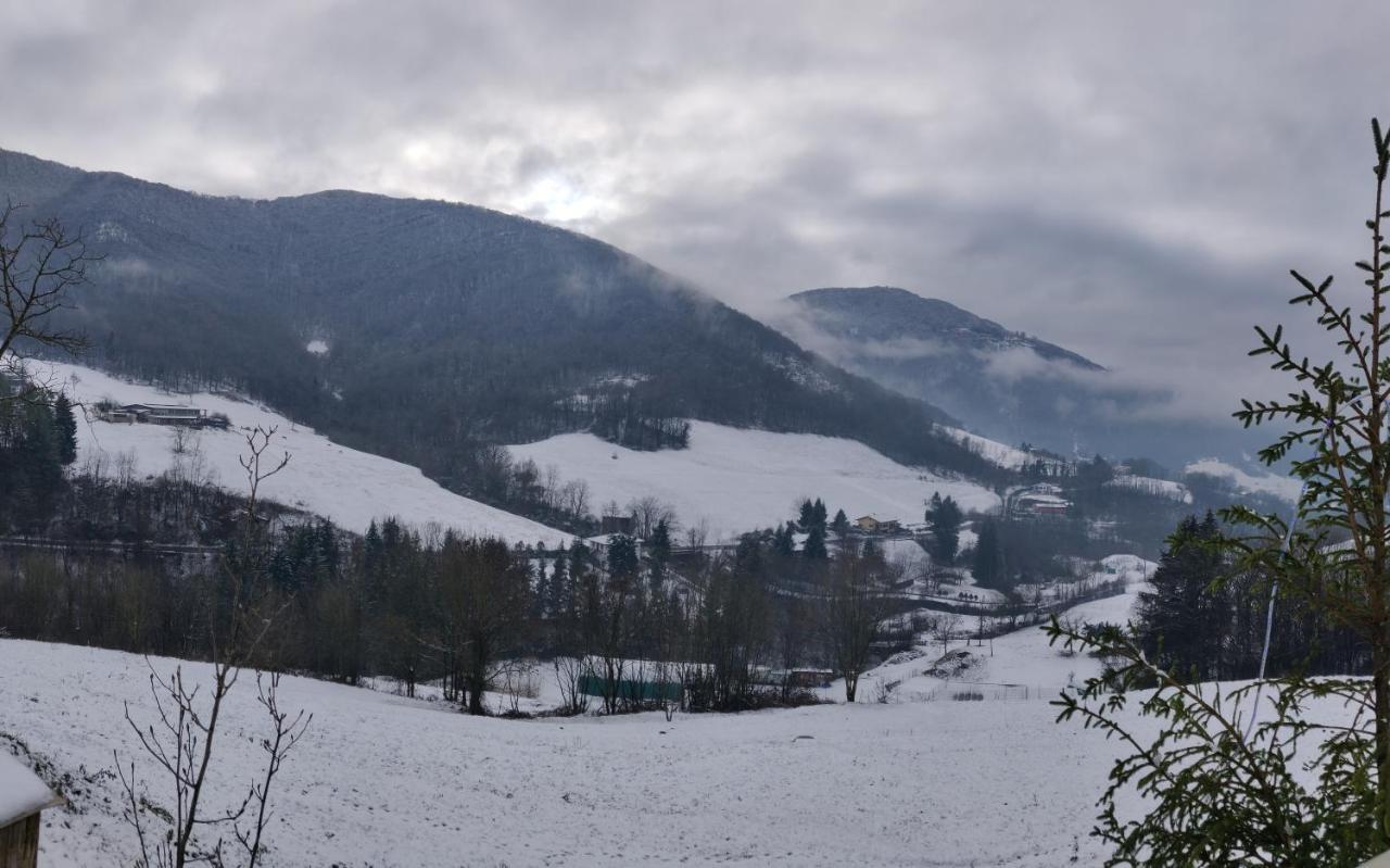 Cene Agriturismo Green Valleyヴィラ エクステリア 写真
