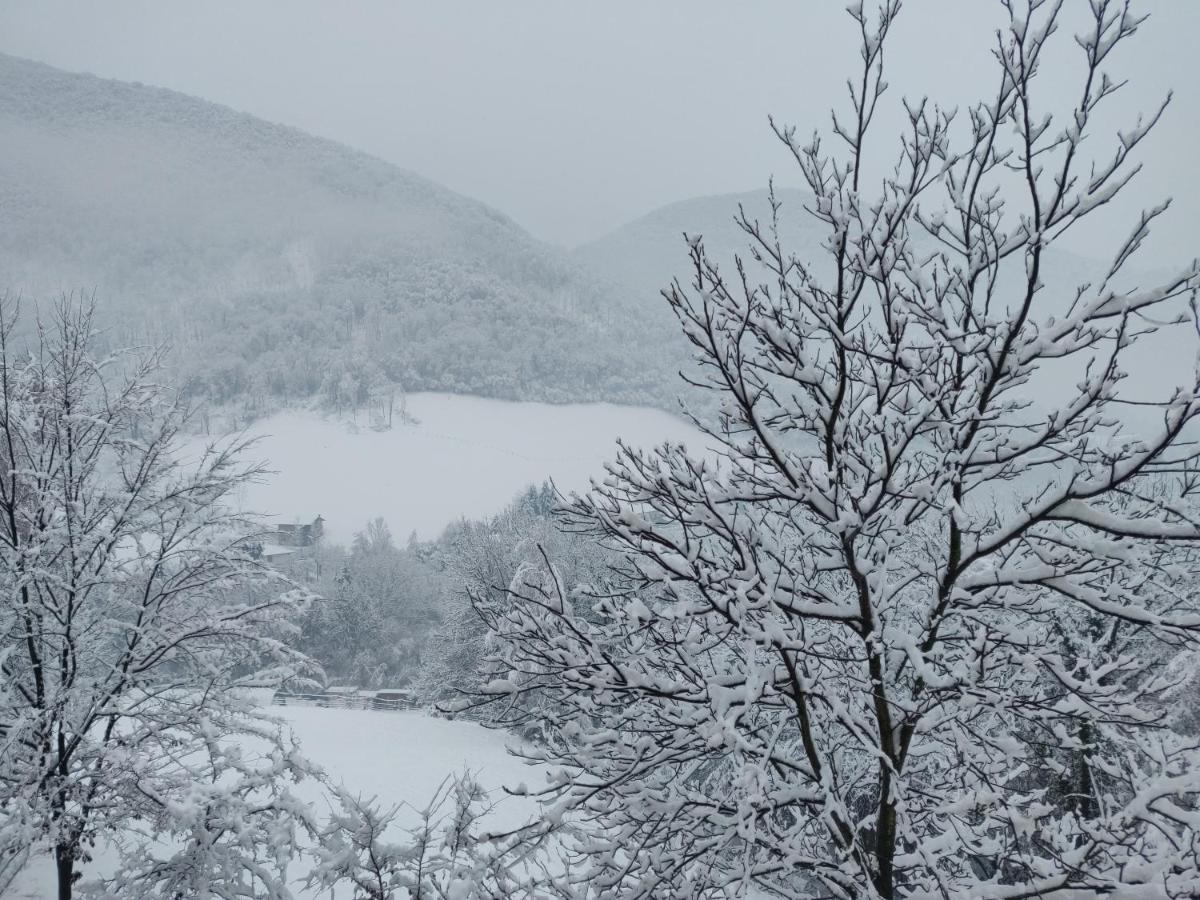 Cene Agriturismo Green Valleyヴィラ エクステリア 写真